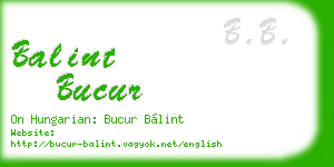 balint bucur business card