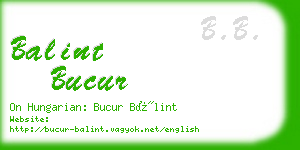 balint bucur business card